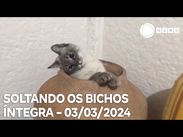 Soltando os Bichos - 03/03/2024