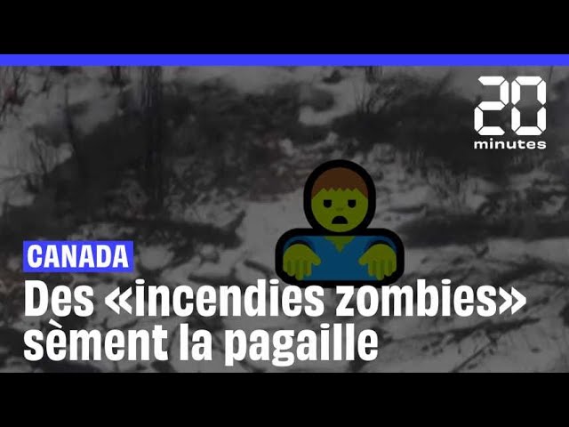 Des «incendies zombies» sèment la pagaille au Canada