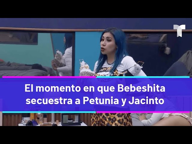 La Casa de los Famosos 4 | El momento en que Bebeshita secuestra a Petunia y Jacinto