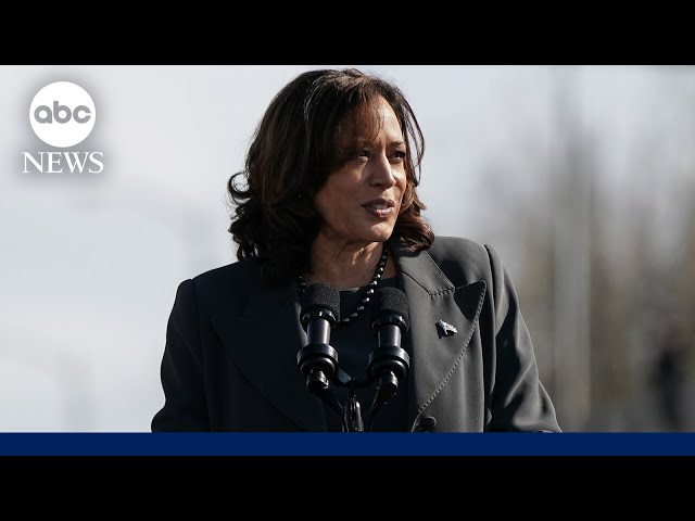 Kamala Harris calls for 'immediate cease-fire' in Gaza to increase flow of aid