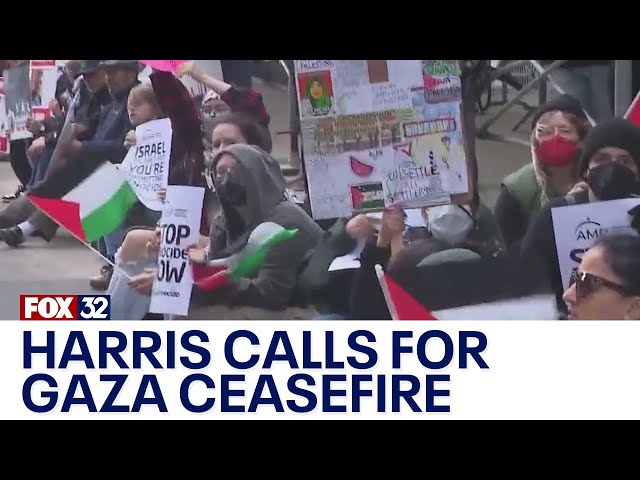 Calls grow in Chicago, across the US for Gaza ceasefire