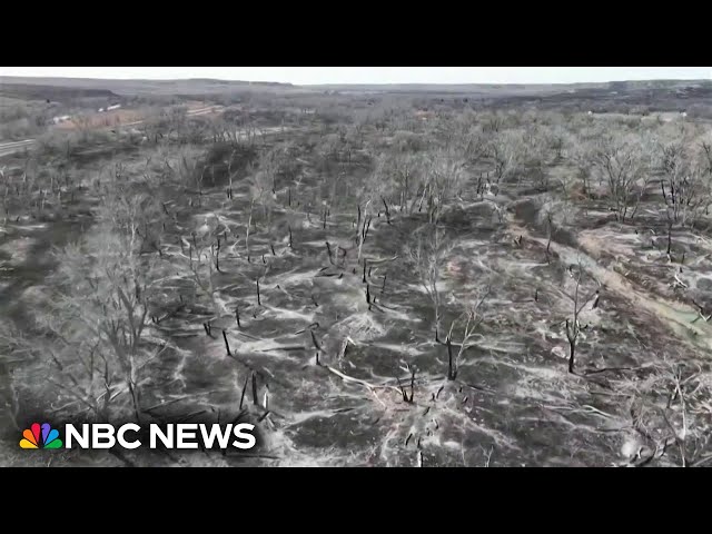 Firefighters battle another Texas wildfire