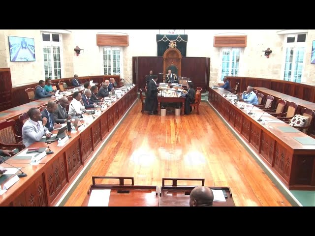 Consideration of Cyber Crime Bill paused