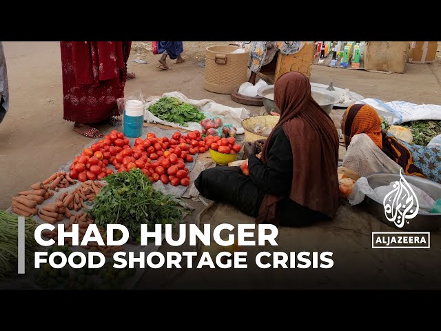 Hunger crisis in Chad: Aid agencies warn of worsening shortages