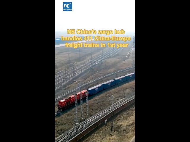 NE China's cargo hub handles 411 China-Europe freight trains in 1st year