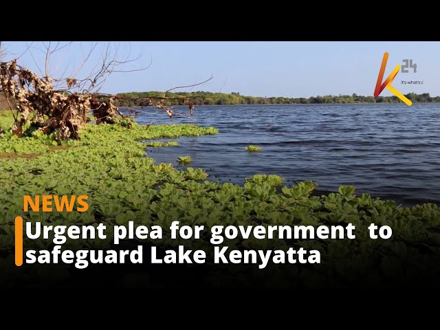 Urgent plea from Mpeketoni residents for government intervention to safeguard Lake Kenyatta