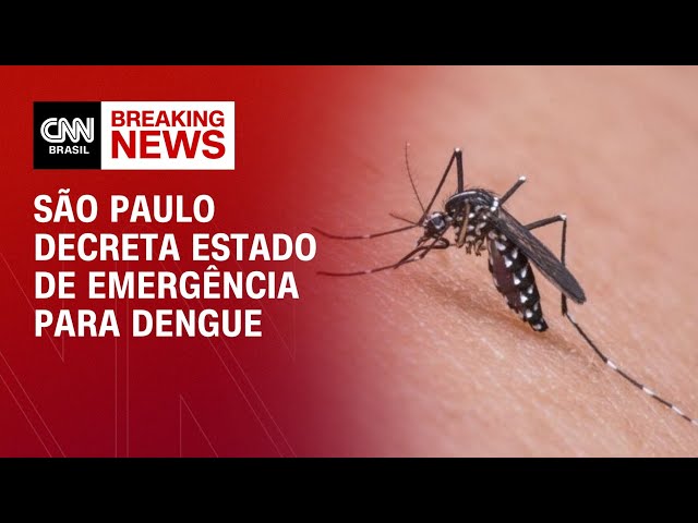 São Paulo decreta estado de emergência para dengue | CNN NOVO DIA