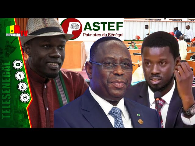 [LIVE] Macky veut-il réhabiliter Sonko? Loi d'amnistie, Pastef retrouvera son récépissé, Assemb