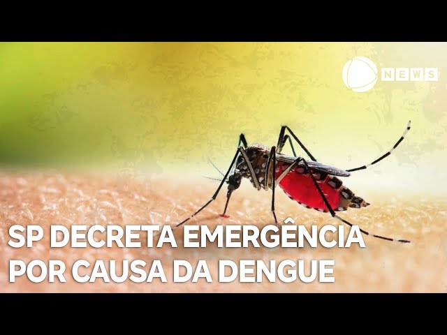 Estado de São Paulo decreta emergência por causa da dengue