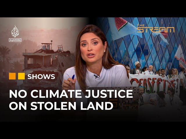 How is Palestine connected to the climate justice movement? | The Stream