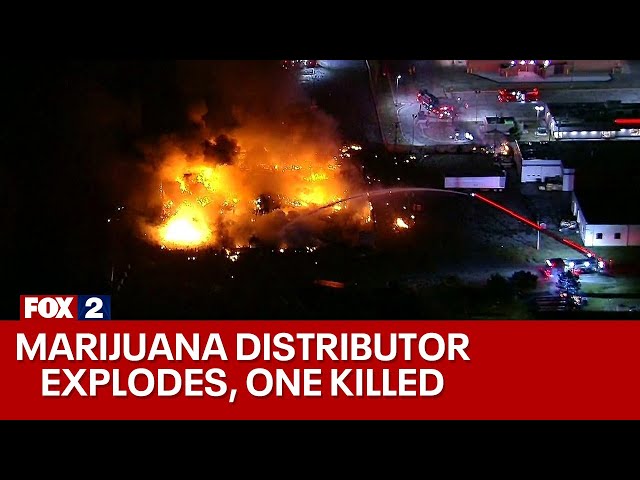 Clinton Township explosion at pot distributor facility kills one