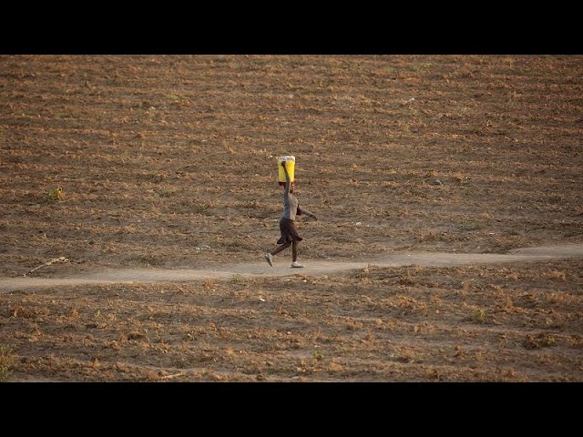 Las mujeres perderían un 34% más de ingresos si la temperatura global aumenta 1°C, según informe