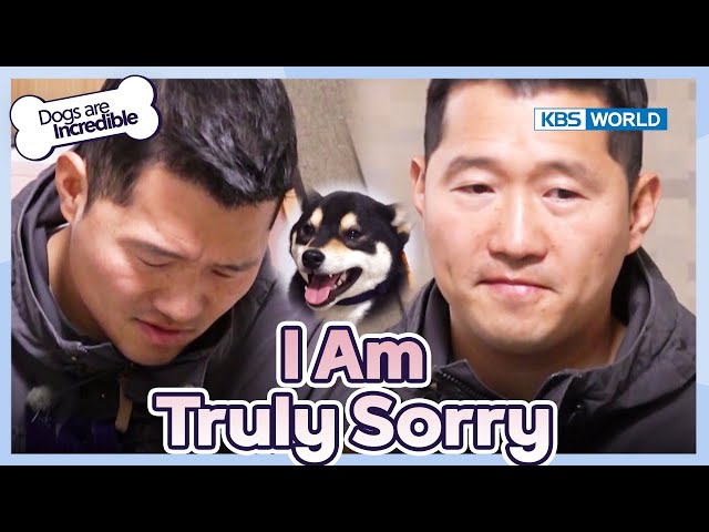 Trainer Kang Apologizes [Dogs Are Incredible : EP.209-3] | KBS WORLD TV 240305