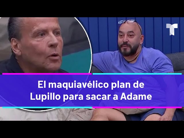 La Casa de los Famosos 4  |  Lupillo va con todo por Adame: este es su plan para sacarlo