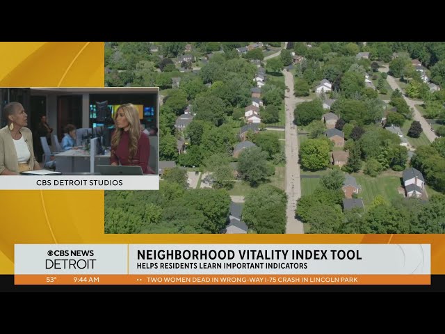 Detroit Neighborhood Vitality Index tool