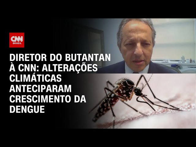 À CNN, diretor do Butantan diz que "alterações climáticas" anteciparam alta da dengue | CN