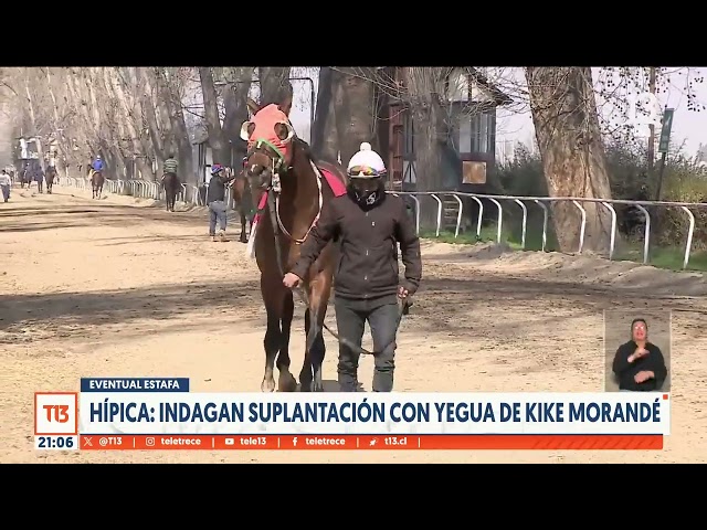 Indagan suplantación con yegua de Kike Morandé en carrera del Club Hípico