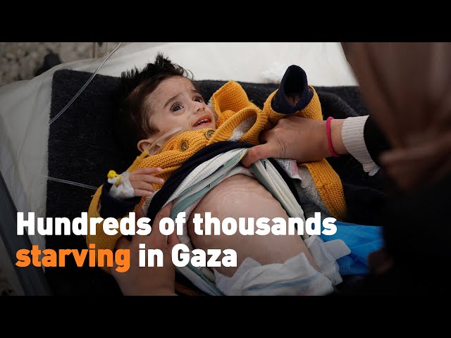 Hundreds of thousands starving in Gaza