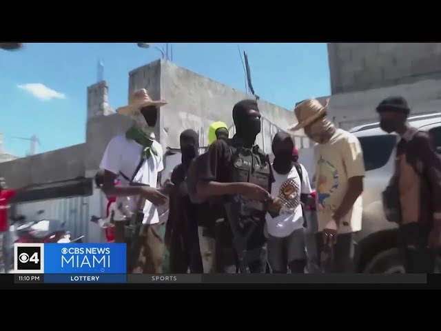 South Florida Haitian diaspora rally for end of violence in homeland