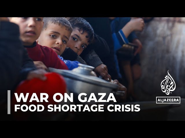 Palestinians in Gaza, living in fear and horror, are now starving to death