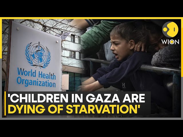 Israel-Hamas War: Famine looms over besieged Gaza strip | Latest News | WION