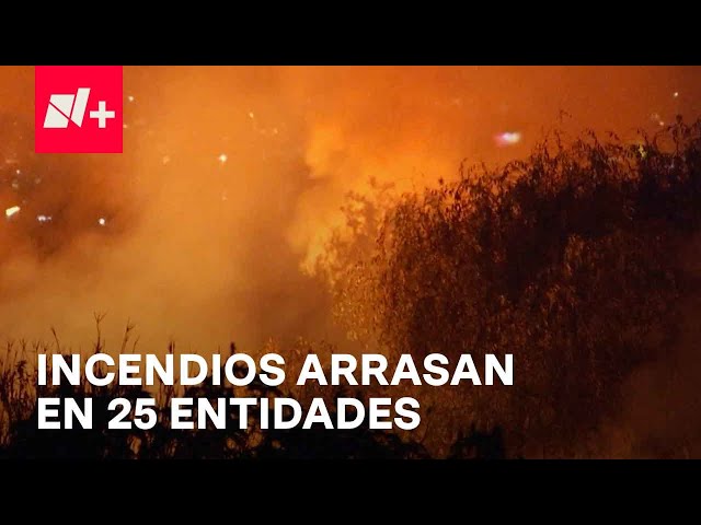 Incendios forestales en el país, autoridades suman esfuerzos para extinguir los siniestros