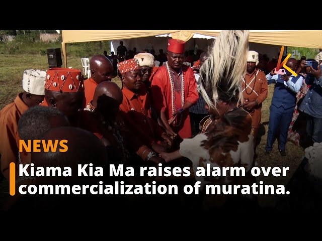 Kiama Kia Ma Raises Alarm Over Commercialization of Muratina Following High Court Verdict.