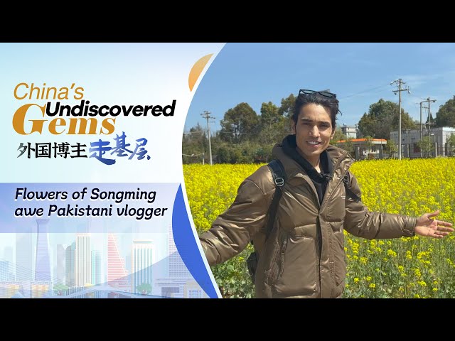 China's undiscovered gems: Flowers of Songming awe Pakistani vlogger