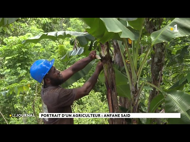 Portrait d'un agriculteur : Anfane Said