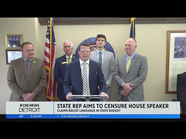 Michigan Republican state representative aims to censure house speaker