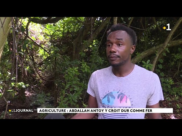 Agriculture : Abdallah Antoy y croit dur comme fer