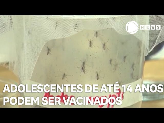 Governo amplia a vacinação contra a dengue para adolescentes de até 14 anos