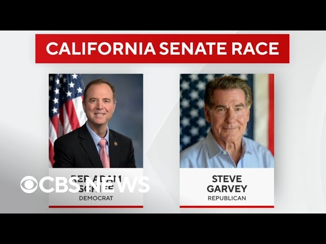 Key races to watch heading into November election