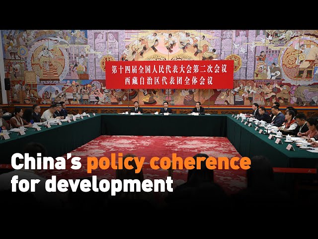 China’s policy coherence for development