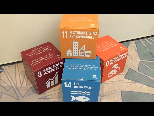 SIDS facing challenges in achieving SDGs