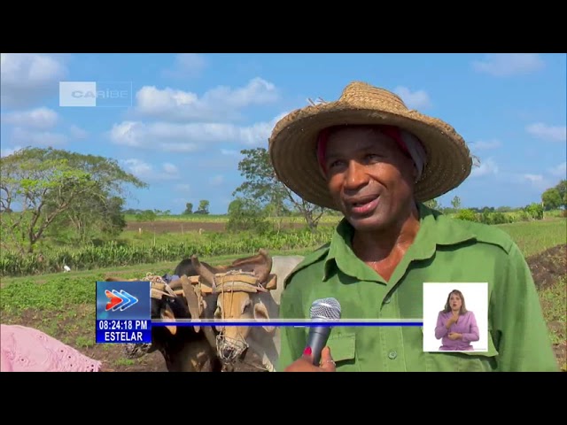 Finca "El Progreso" de Santiago de Cuba apuesta por la soberanía alimentaria