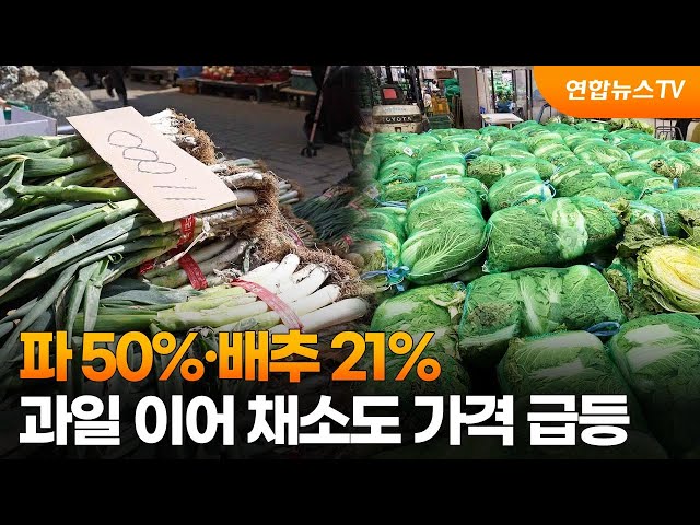 파 50%·배추 21%…과일 이어 채소도 가격 급등 / 연합뉴스TV (YonhapnewsTV)