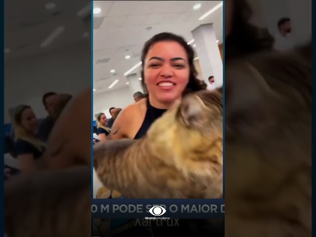 Gato brasileiro pode entrar para o livro dos recordes