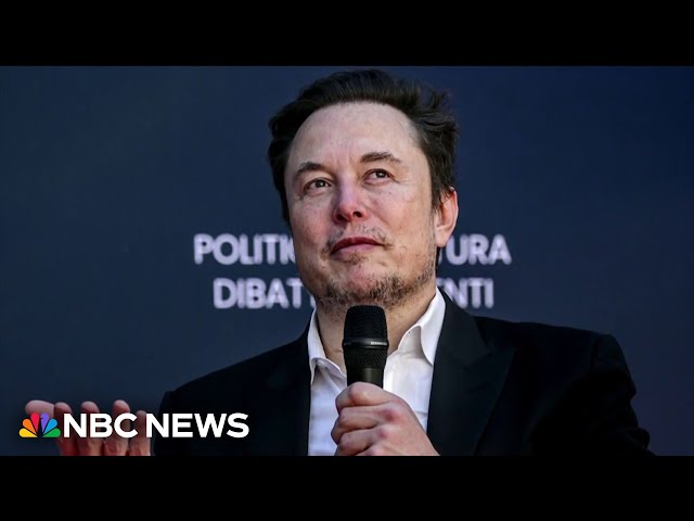 Elon Musk sues Open AI and co-founder over alleged switch to for-profit