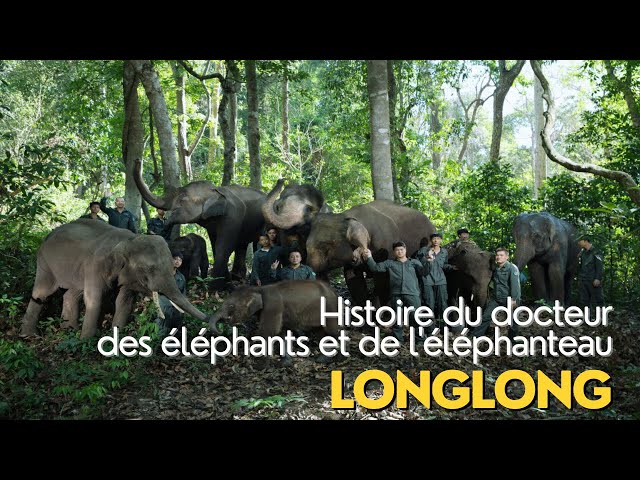 Histoire du docteur des éléphants et de l'éléphanteau Longlong