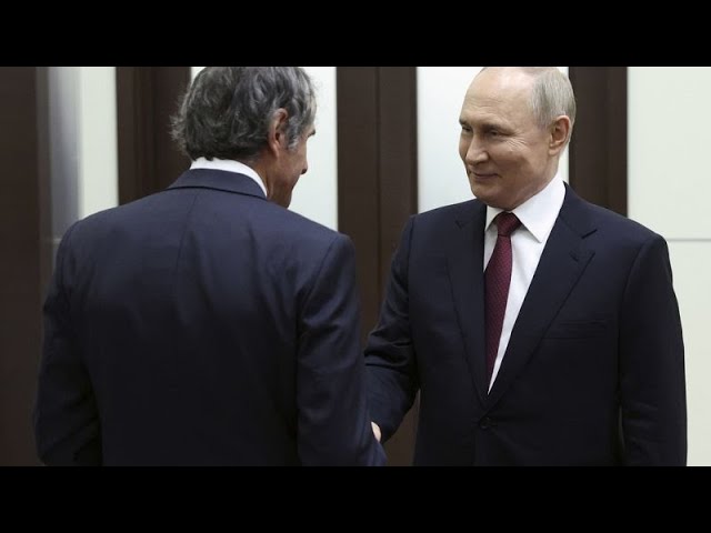 Grossi visita a Putin por la precaria situación de la central nuclear de Zaporiyia