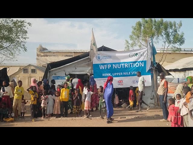 La guerre au Soudan risque d'engendrer "plus grande crise de la faim au monde", selon