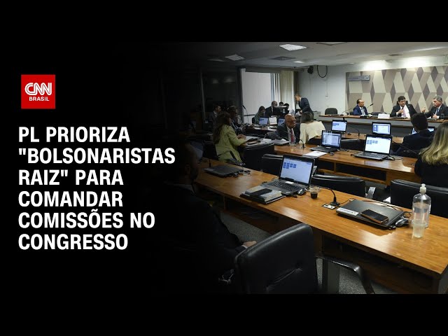 PL prioriza "bolsonaristas raiz" para comandar comissões no Congresso | CNN NOVO DIA