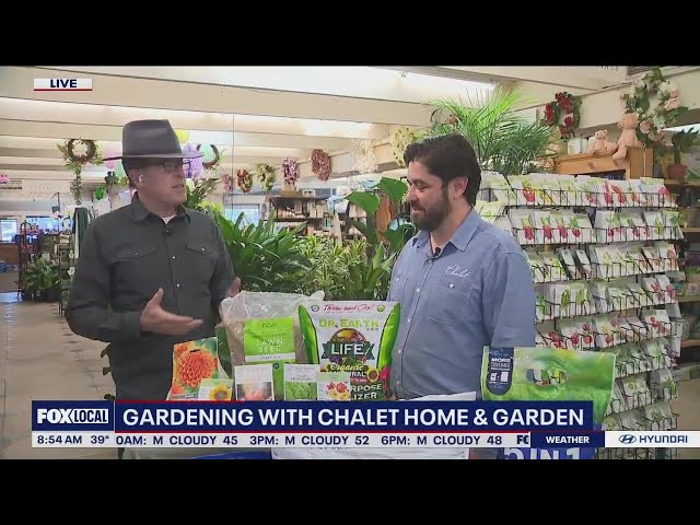 If your thumb isn't green, Chalet Home & Garden can help.