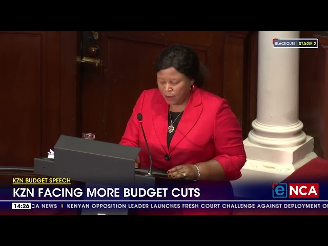 KZN Budget Speech | KwaZulu-Natal facing more budget cuts