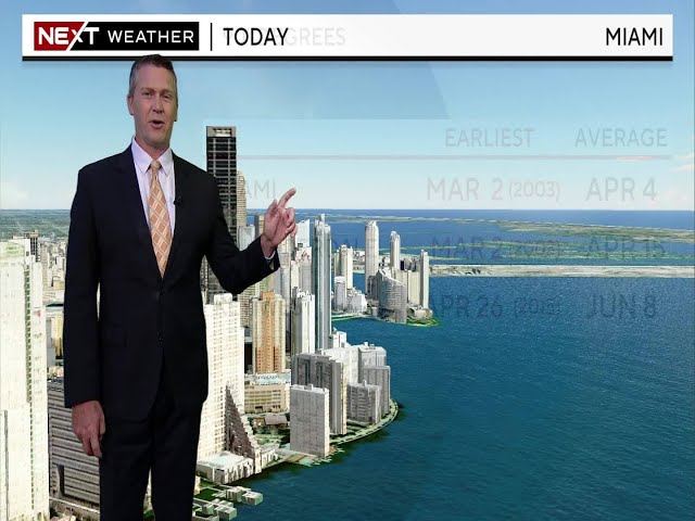 Miami Weather For Thursday 3/7/24 1PM