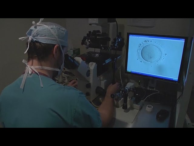 Alabama passes IVF legislation