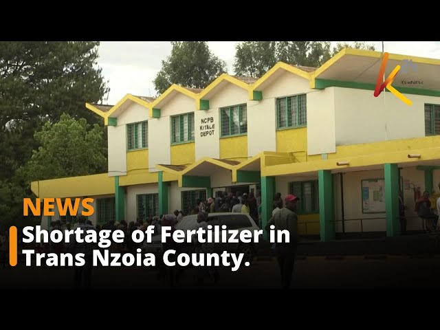 Government Fertilizer Shortfall Sparks Worries Among Trans-Nzoia Farmers