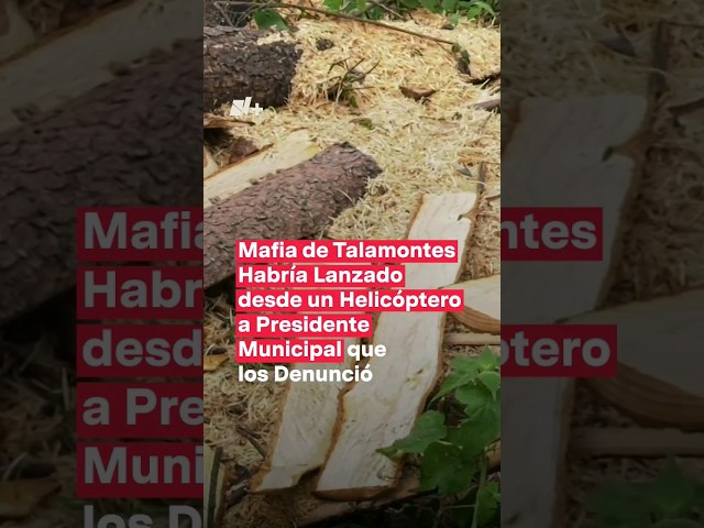 Mafia de talamontes de Ocuilán habría lanzado desde helicóptero a presidente municipal #nmas #shorts