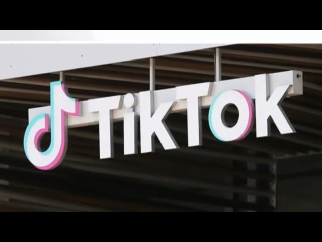 Can Congress ban TikTok? Legal expert weighs in